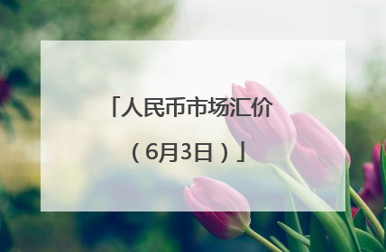 人民币市场汇价（6月3日）