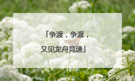 争渡，争渡，又见龙舟竞速