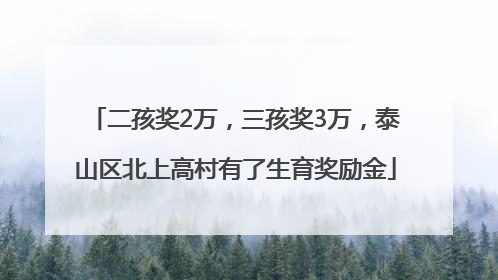 二孩奖2万，三孩奖3万，泰山区北上高村有了生育奖励金