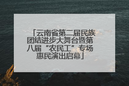 云南省第二届民族团结进步大舞台暨第八届“农民工”专场惠民演出启幕