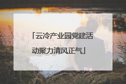 云冷产业园党建活动聚力清风正气