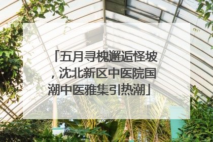 五月寻槐邂逅怪坡，沈北新区中医院国潮中医雅集引热潮