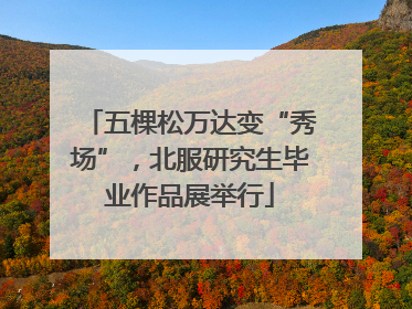 五棵松万达变“秀场”，北服研究生毕业作品展举行