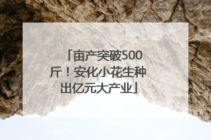 亩产突破500斤！安化小花生种出亿元大产业