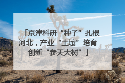 京津科研“种子”扎根河北，产业“土壤”培育创新“参天大树”