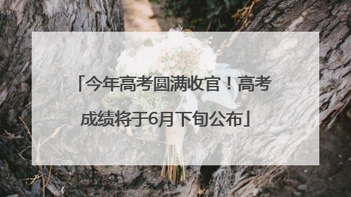 今年高考圆满收官！高考成绩将于6月下旬公布