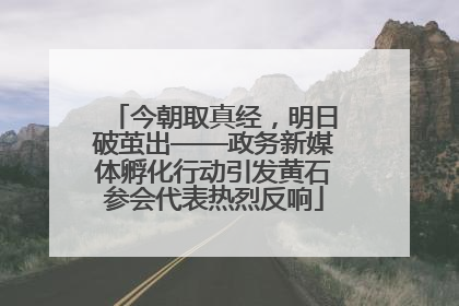 今朝取真经，明日破茧出——政务新媒体孵化行动引发黄石参会代表热烈反响