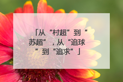 从“村超”到“苏超”，从“追球”到“追求”