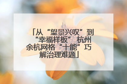 从“望景兴叹”到“幸福样板” 杭州余杭网格“十能”巧解治理难题
