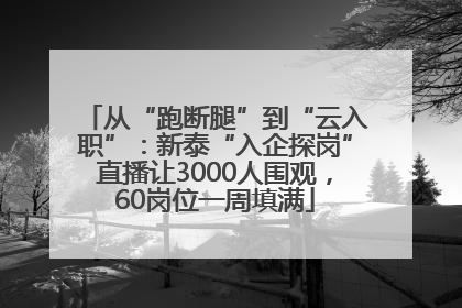 从“跑断腿”到“云入职”：新泰“入企探岗”直播让3000人围观，60岗位一周填满