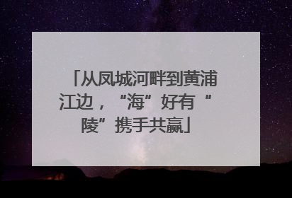 从凤城河畔到黄浦江边，“海”好有“陵”携手共赢