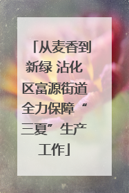 从麦香到新绿 沾化区富源街道全力保障“三夏”生产工作