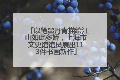 以笔墨丹青描绘江山如此多娇，上海市文史馆馆员展出113件书画新作