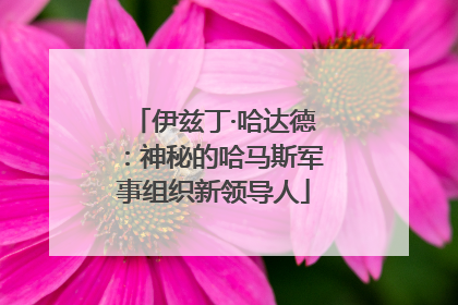 伊兹丁·哈达德：神秘的哈马斯军事组织新领导人