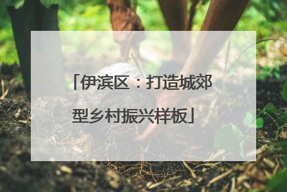 伊滨区：打造城郊型乡村振兴样板