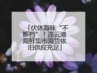 伏休海味“不断档”！连云港海鲜集市海货依旧供应充足