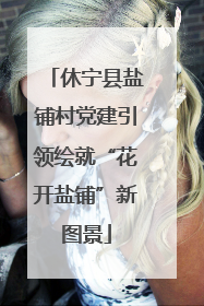 休宁县盐铺村党建引领绘就“花开盐铺”新图景