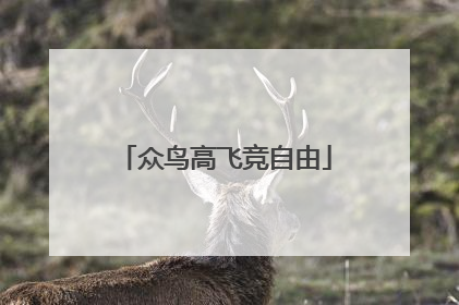 众鸟高飞竞自由