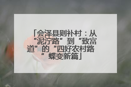 会泽县则补村：从“泥泞路”到“致富道”的“四好农村路”蝶变新篇