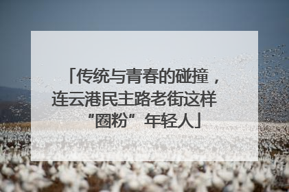 传统与青春的碰撞，连云港民主路老街这样“圈粉”年轻人