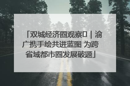 双城经济圈观察㊺｜渝广携手绘共进蓝图 为跨省域都市圈发展破题
