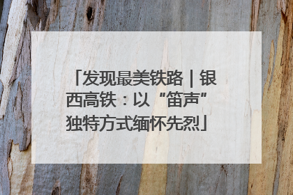 发现最美铁路｜银西高铁：以“笛声”独特方式缅怀先烈