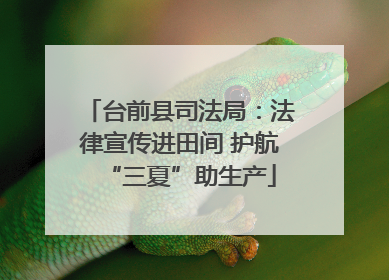 台前县司法局：法律宣传进田间 护航“三夏”助生产