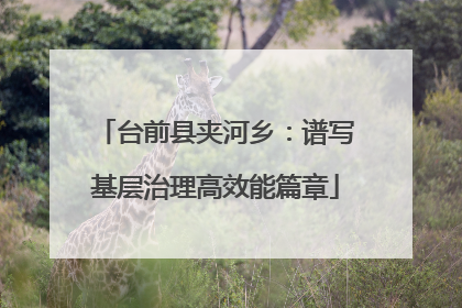 台前县夹河乡：谱写基层治理高效能篇章