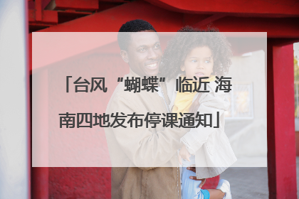 台风“蝴蝶”临近 海南四地发布停课通知