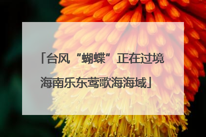 台风“蝴蝶”正在过境海南乐东莺歌海海域