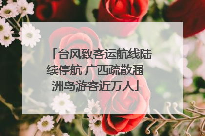 台风致客运航线陆续停航 广西疏散涠洲岛游客近万人