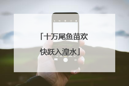 十万尾鱼苗欢快跃入湟水