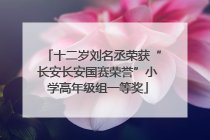 十二岁刘名丞荣获“长安长安国赛荣誉”小学高年级组一等奖