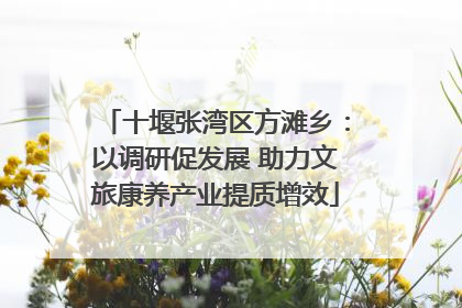十堰张湾区方滩乡：以调研促发展 助力文旅康养产业提质增效