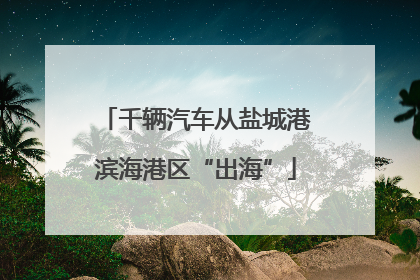 千辆汽车从盐城港滨海港区“出海”