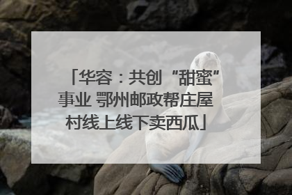 华容：共创“甜蜜”事业 鄂州邮政帮庄屋村线上线下卖西瓜