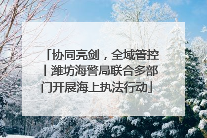 协同亮剑，全域管控丨潍坊海警局联合多部门开展海上执法行动