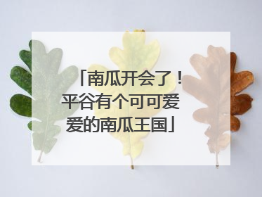 南瓜开会了！平谷有个可可爱爱的南瓜王国