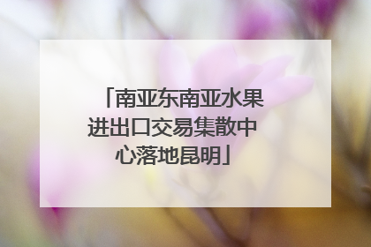 南亚东南亚水果进出口交易集散中心落地昆明