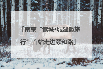南京“读城•城建微旅行”首站走进颐和路