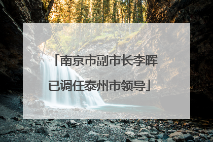 南京市副市长李晖已调任泰州市领导