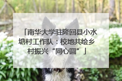 南华大学驻隆回县小水塘村工作队：校地共绘乡村振兴“同心圆”