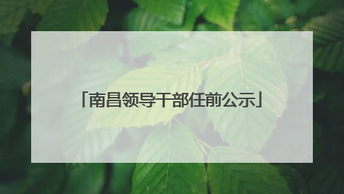 南昌领导干部任前公示