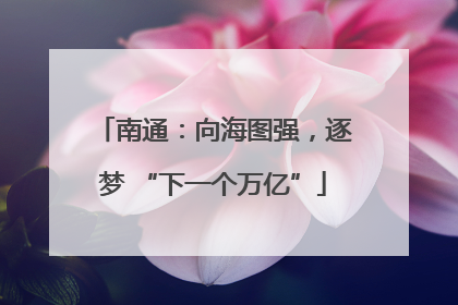 南通：向海图强，逐梦 “下一个万亿”