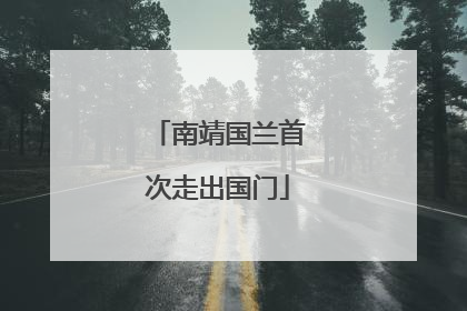 南靖国兰首次走出国门