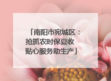 南阳市宛城区：抢抓农时保夏收 贴心服务助生产