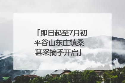 即日起至7月初 平谷山东庄镇桑葚采摘季开启