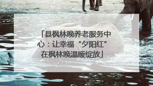 县枫林晚养老服务中心：让幸福“夕阳红”在枫林晚温暖绽放