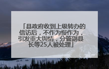 县政府收到上级转办的信访后，不作为慢作为，引发重大舆情，分管副县长等25人被处理