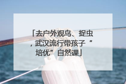 去户外观鸟、捉虫，武汉流行带孩子“培优”自然课